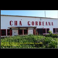 36160 05 003 Tee-Fabrik Cha Gorreana, Maia, Sao Miguel, Azoren 2019.jpg
